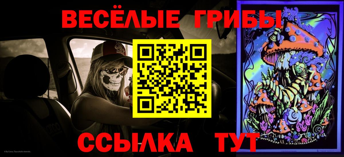 Псилоцибиновые грибы Magic Shrooms  Вход с VPN  Кинешма 