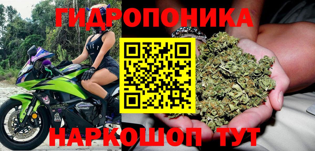 Марихуана Amnesia Кинешма